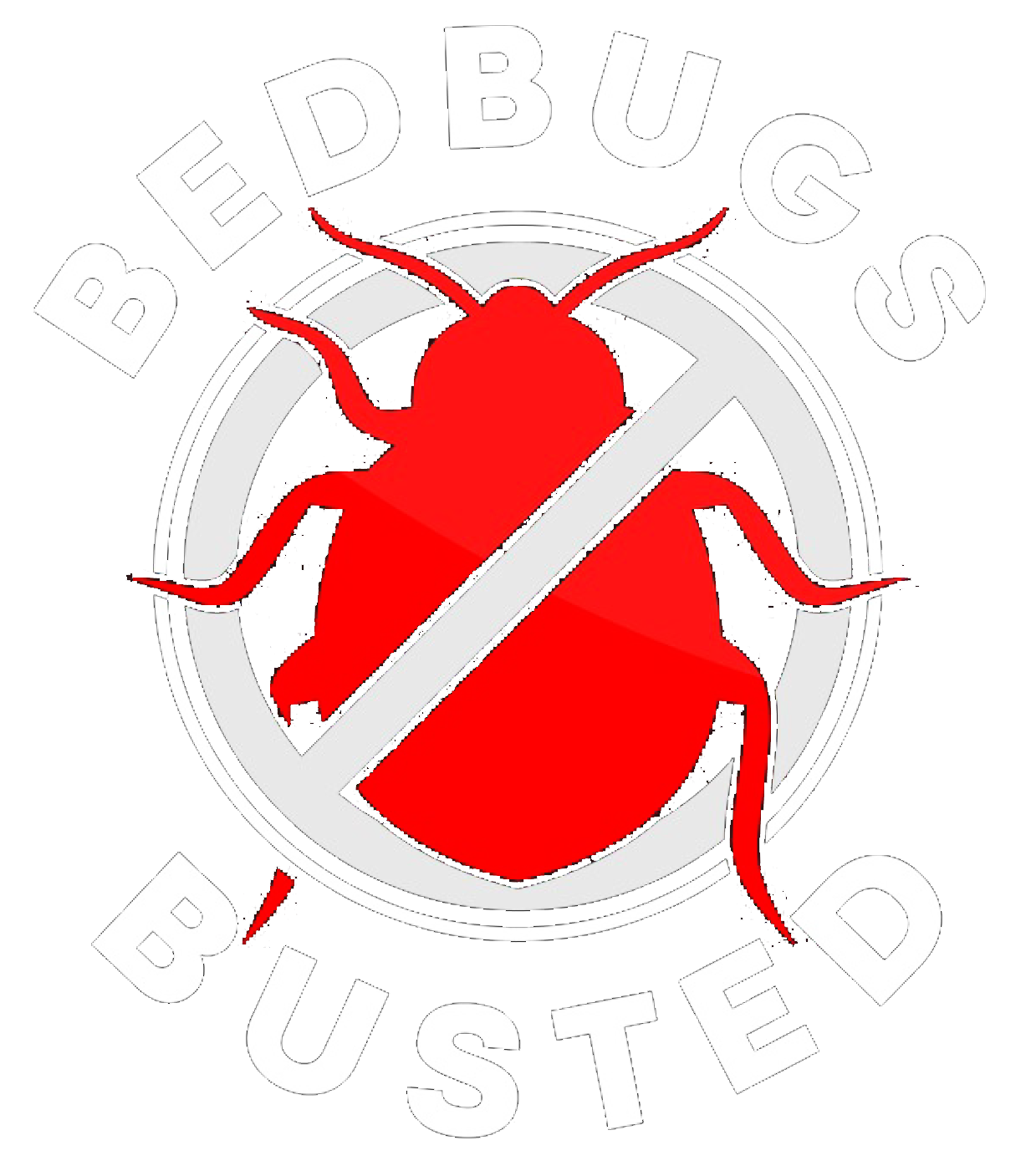 Logo for the business entitled Bed Bugs on a Budget